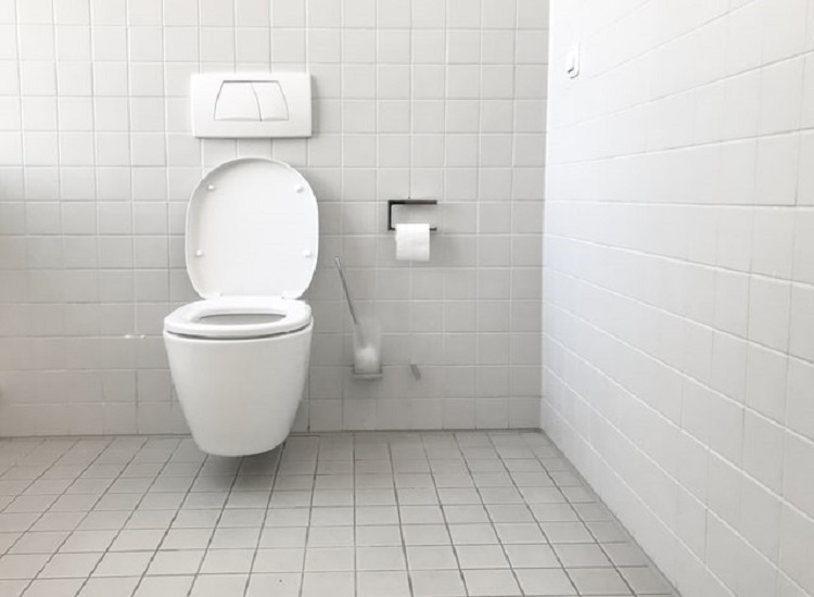Upgrade the Look of Your Bathroom if You Can Install a New Toilet.